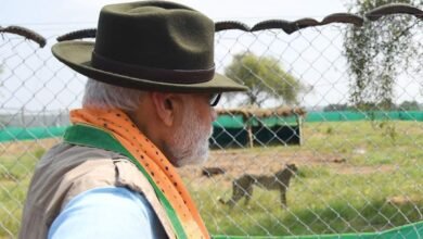 Photo of पीएम मोदी ने अपने जन्मदिन पर कूनो नेशनल पार्क को दिया चीतों का उपहार